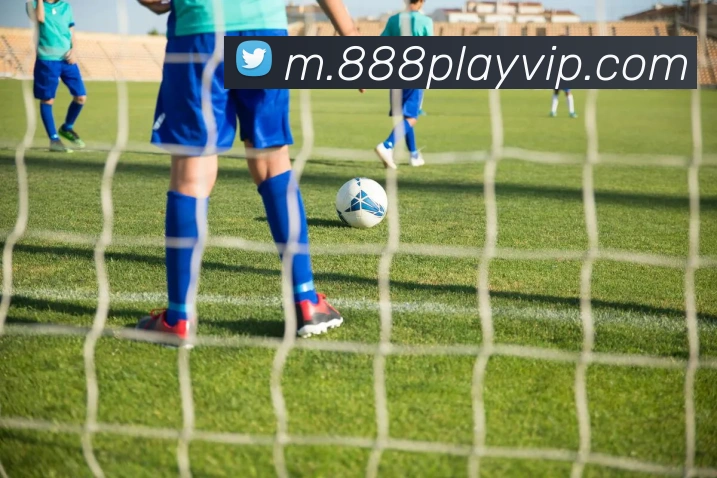 888电子游戏平台生态图